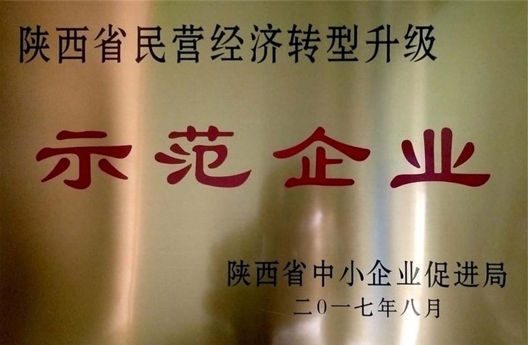 陜西省民營經濟轉型升級示范企業